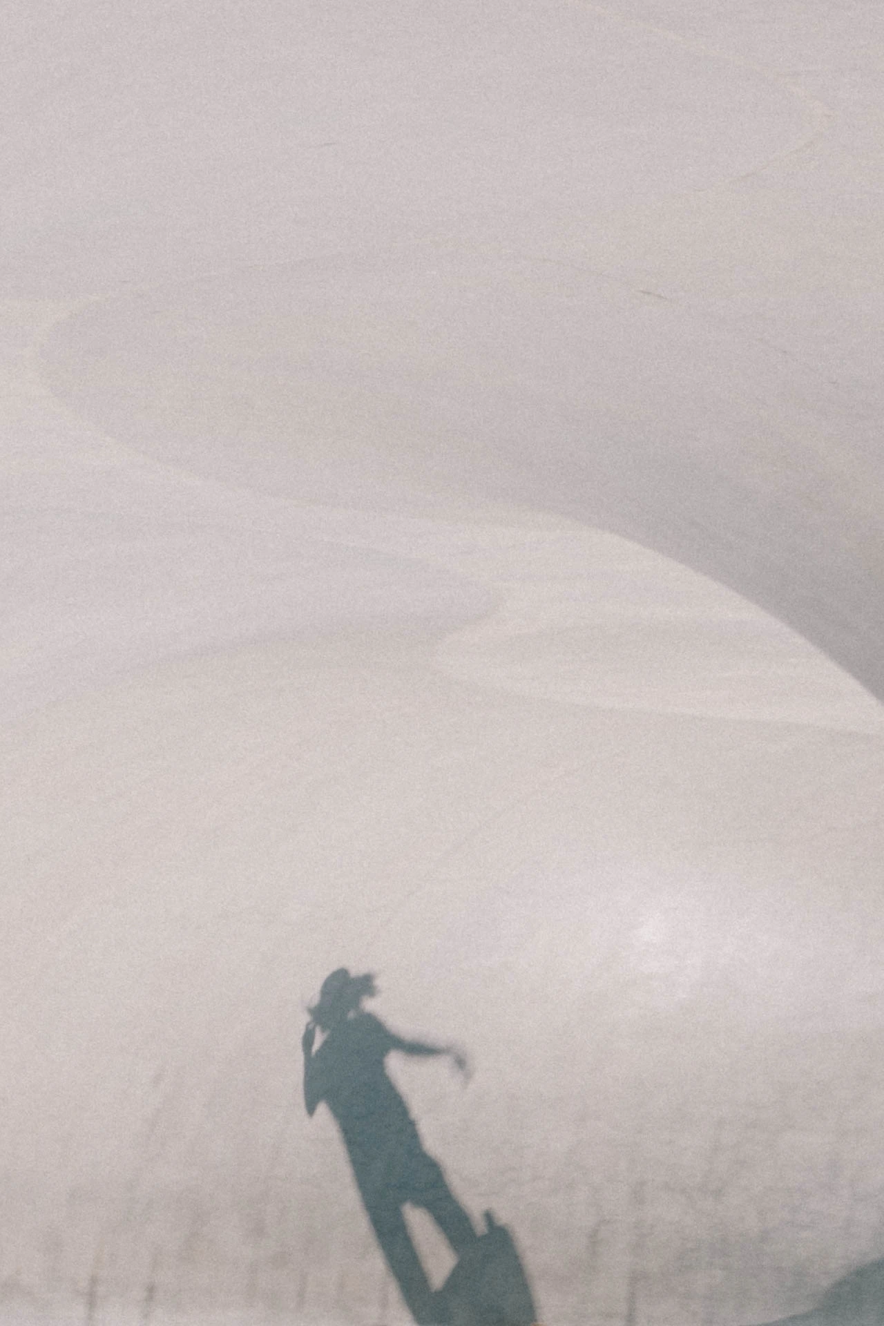 shadow of a skateboarder in motion at venice beach