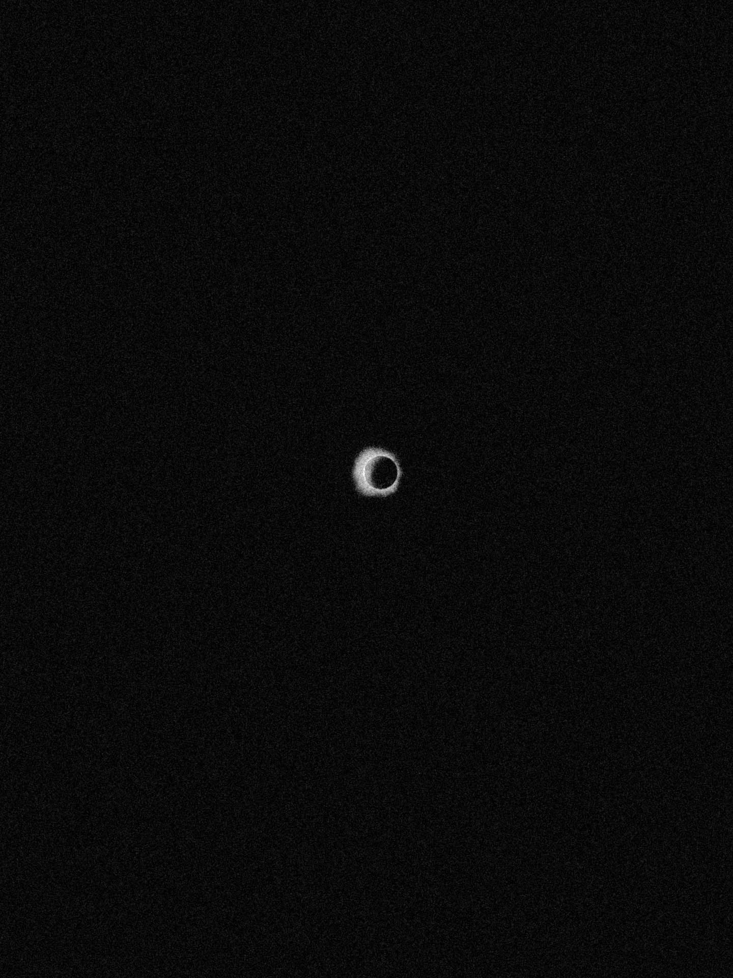 total eclipse 2024 taken with iPhone in black and white