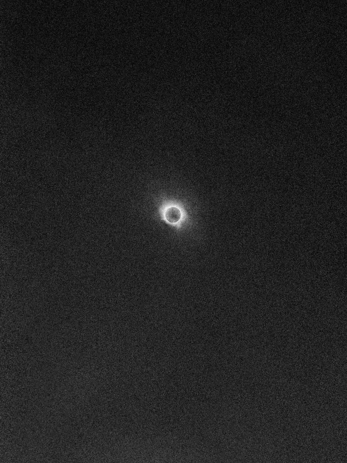 total eclipse 2024 taken with iPhone in black and white