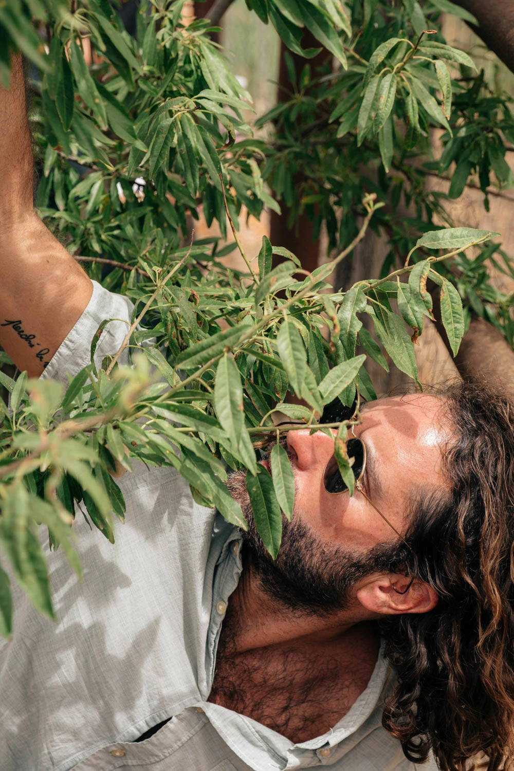 man under an almond tree in Sicily
