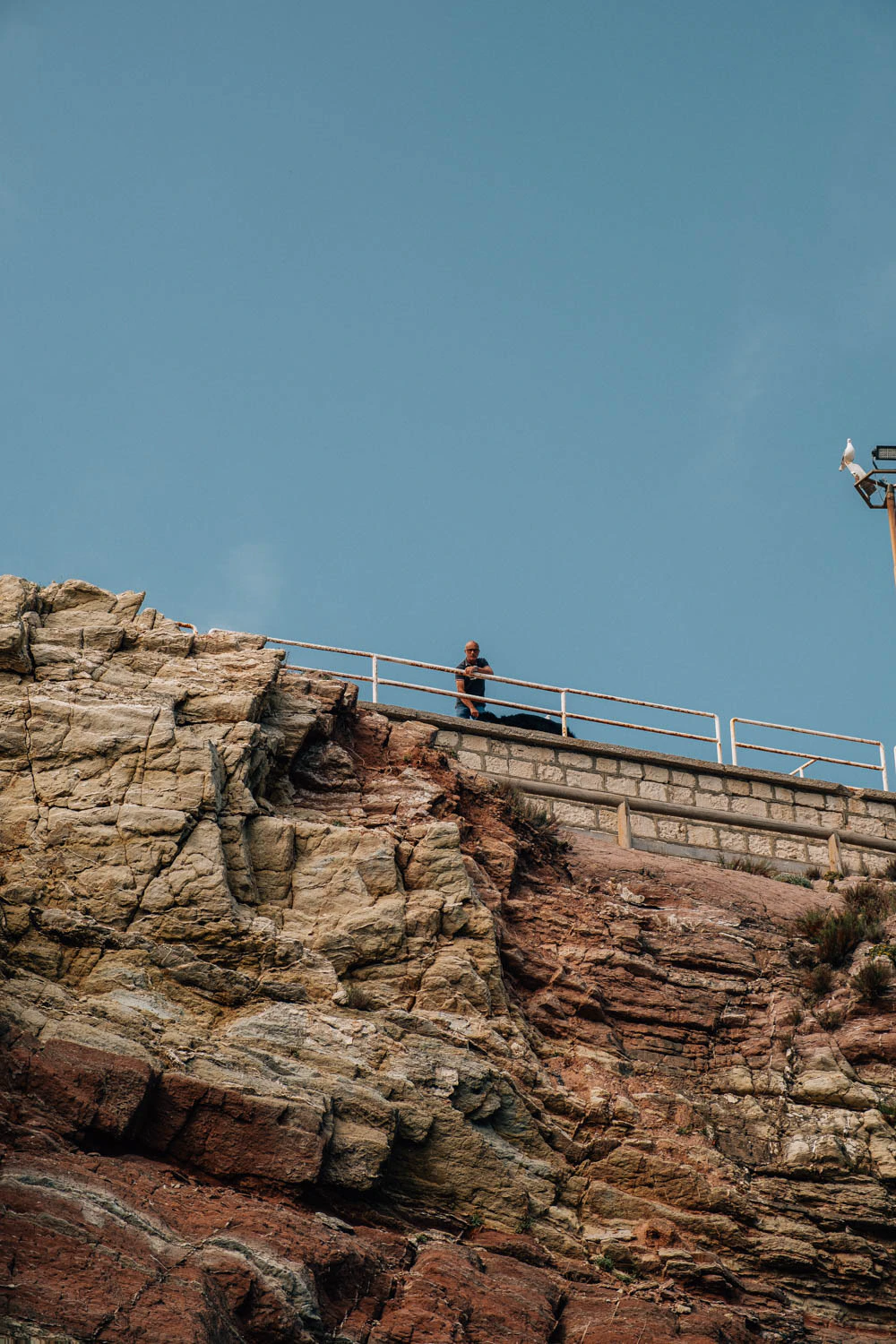man and seagull looking over a cliff at a boat in Sicily