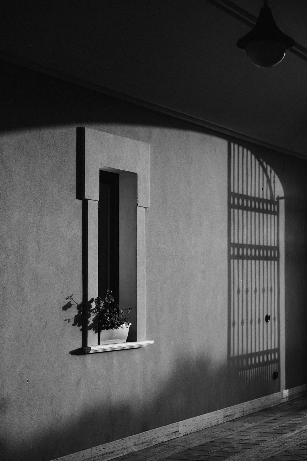 black and white shadow of winery gate