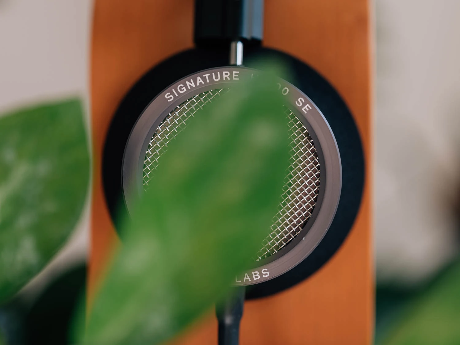 Grado HP100 SE headphones shot on Fujifilm gfx100s ii with plants and headphone stand