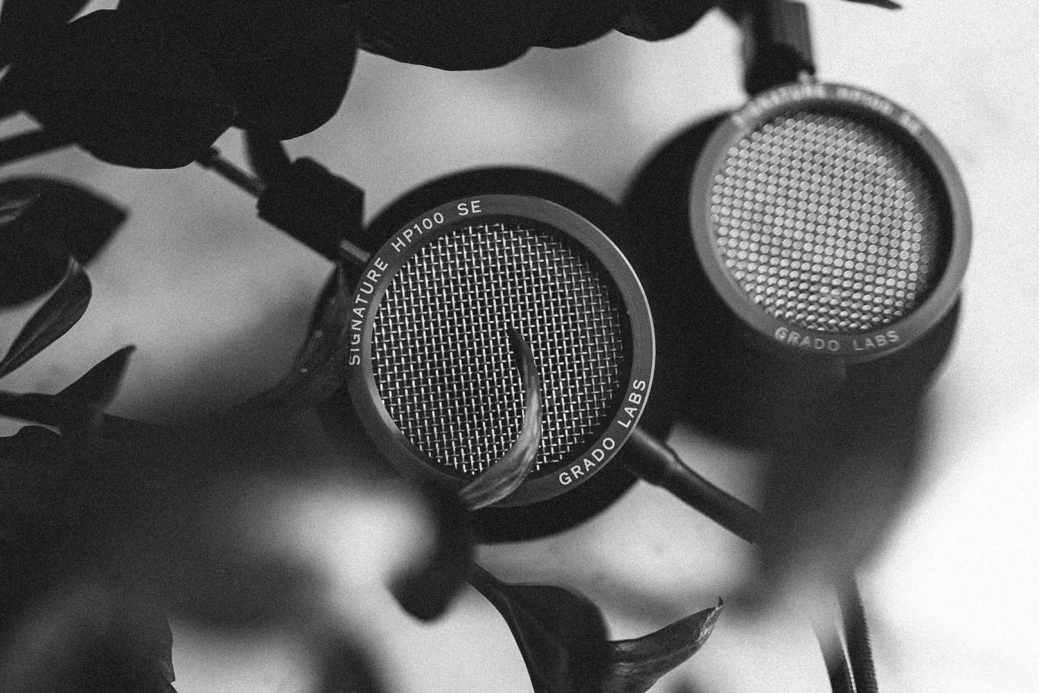 Grado HP100 SE headphones shot on Fujifilm gfx100s ii with plants in black and white