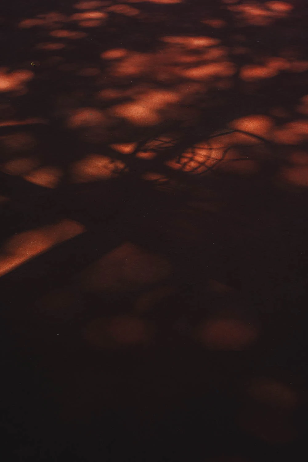 abstract green and red basketball court lines at sunset
