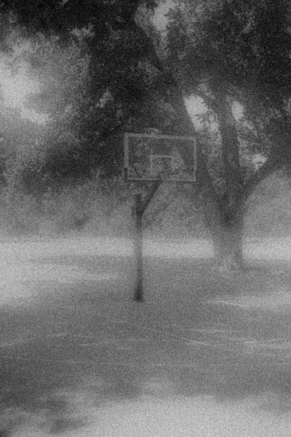 basketball hoop at sunset in Austin park. Grainy black and white.