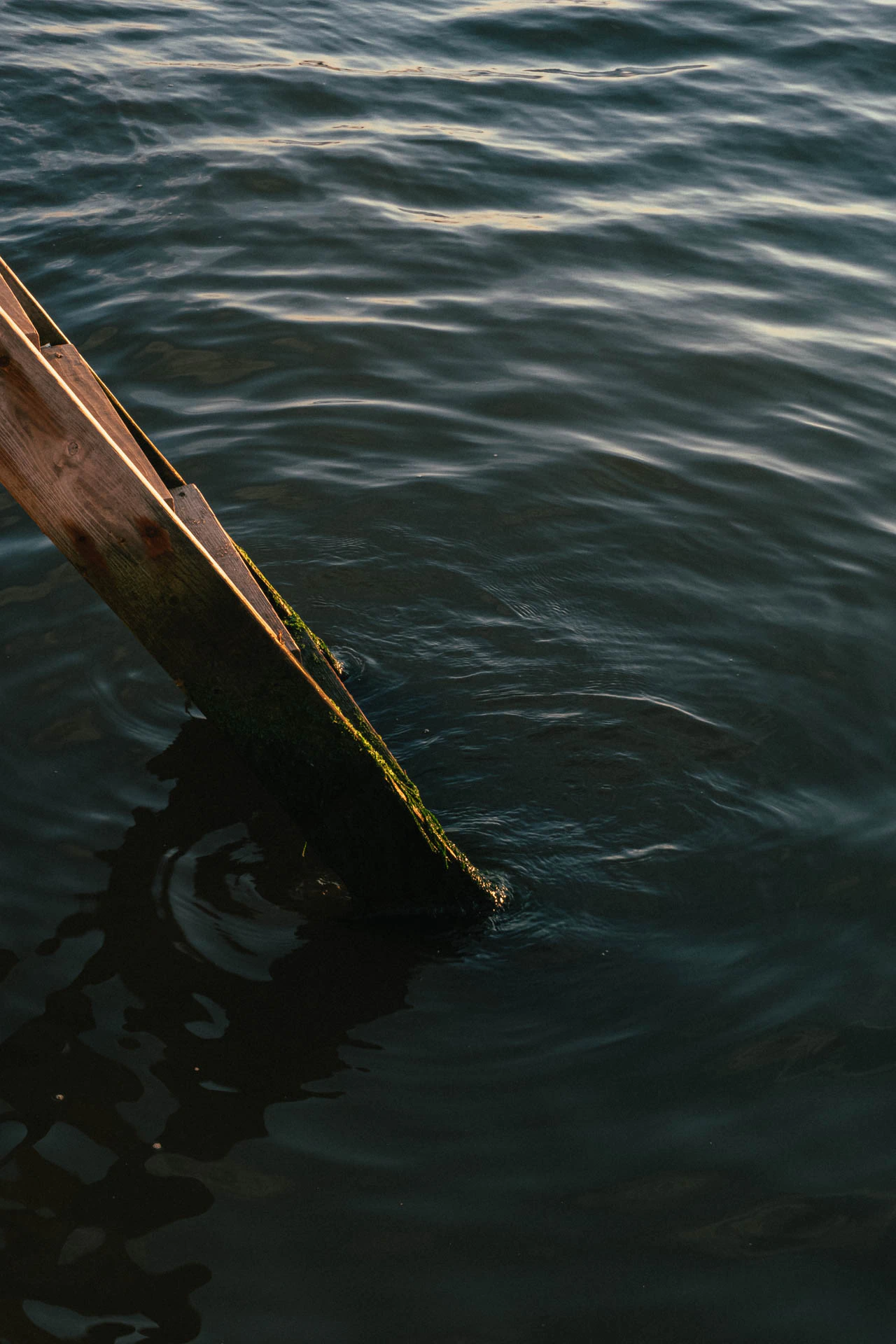 ladder leading to the bay water