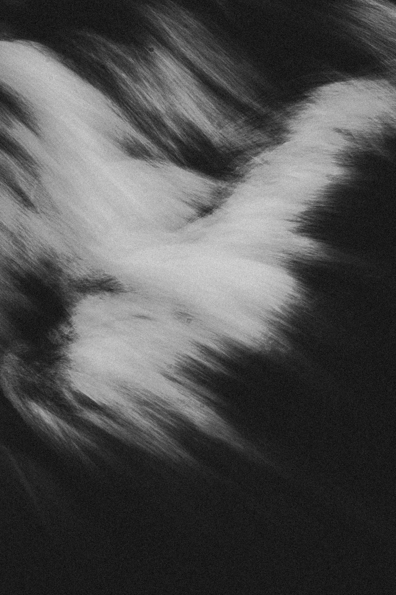 grainy and abstract wave in beach haven, New Jersey