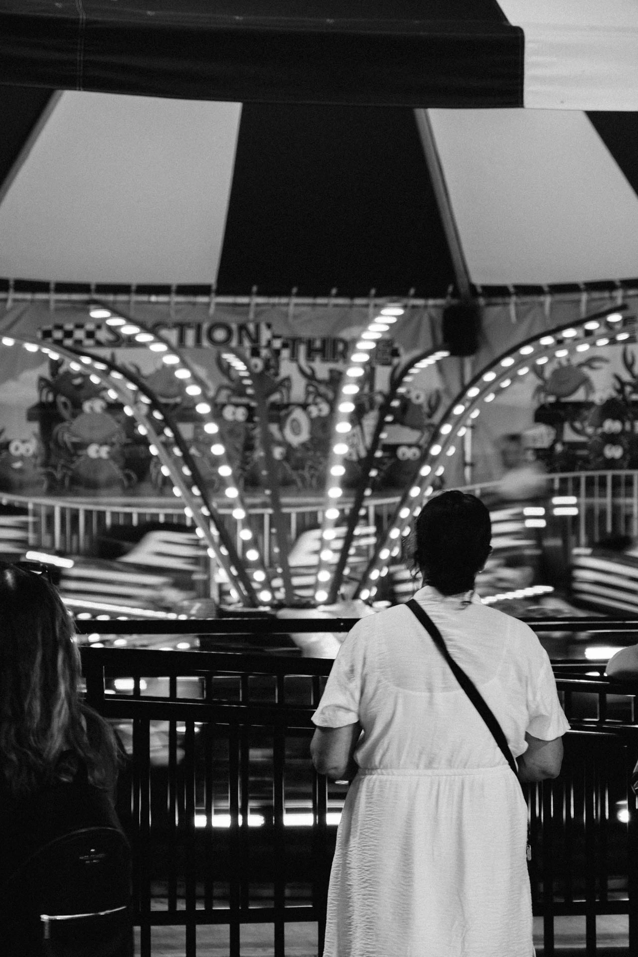 the fantasy island amusement park carousel