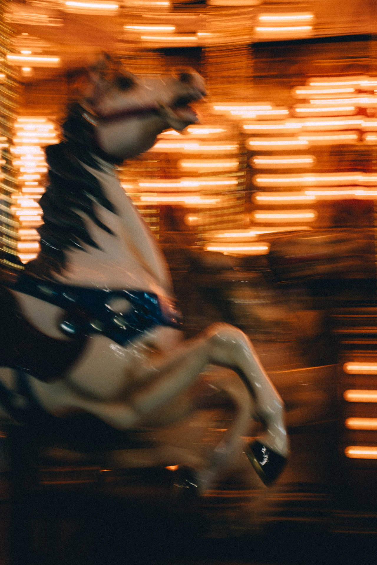 the fantasy island amusement park carousel