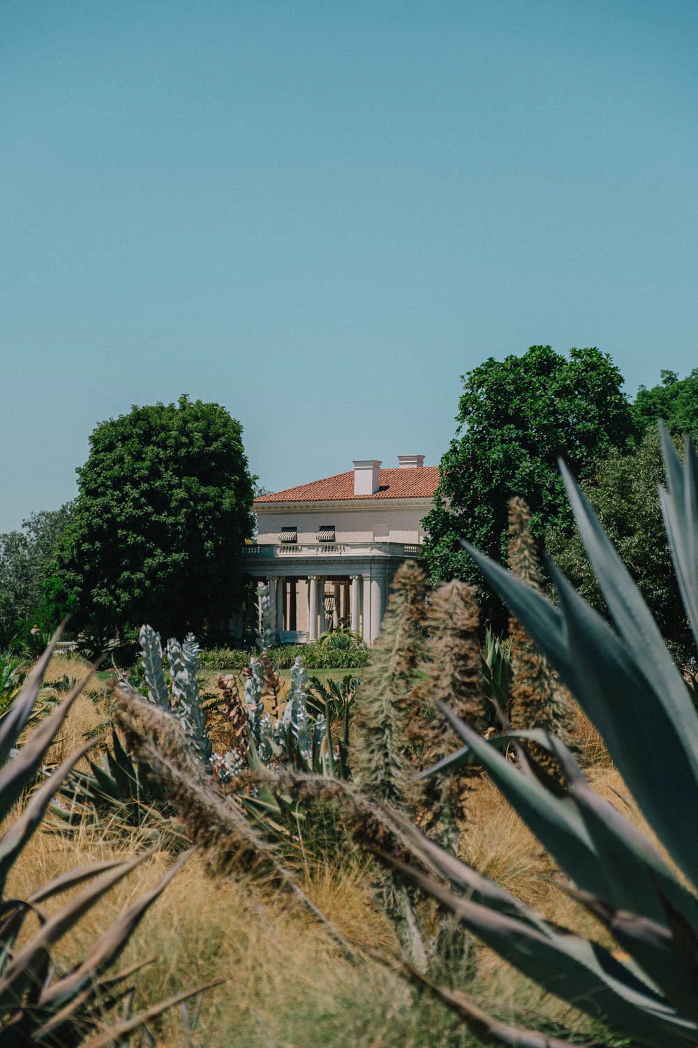 The Huntington Gardens museum in Los Angeles