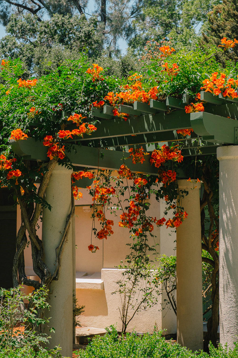 bathroom entrance flowers at the Huntington Garden and Museum in Los Angeles