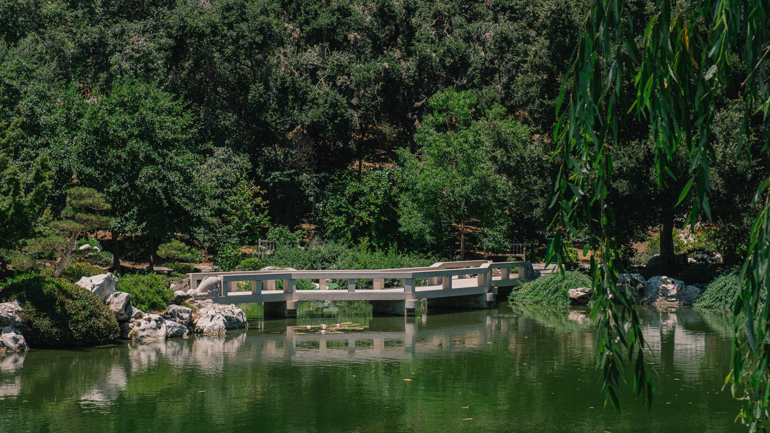 Bridge at the Huntington Garden and Museum in Los Angeles