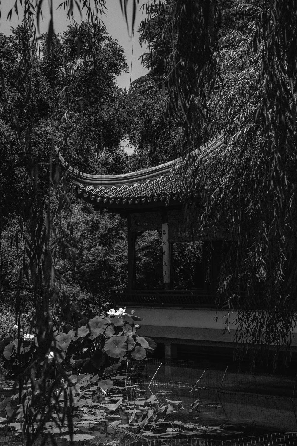 ancient Chinese building at the Huntington Garden and Museum in Los Angeles