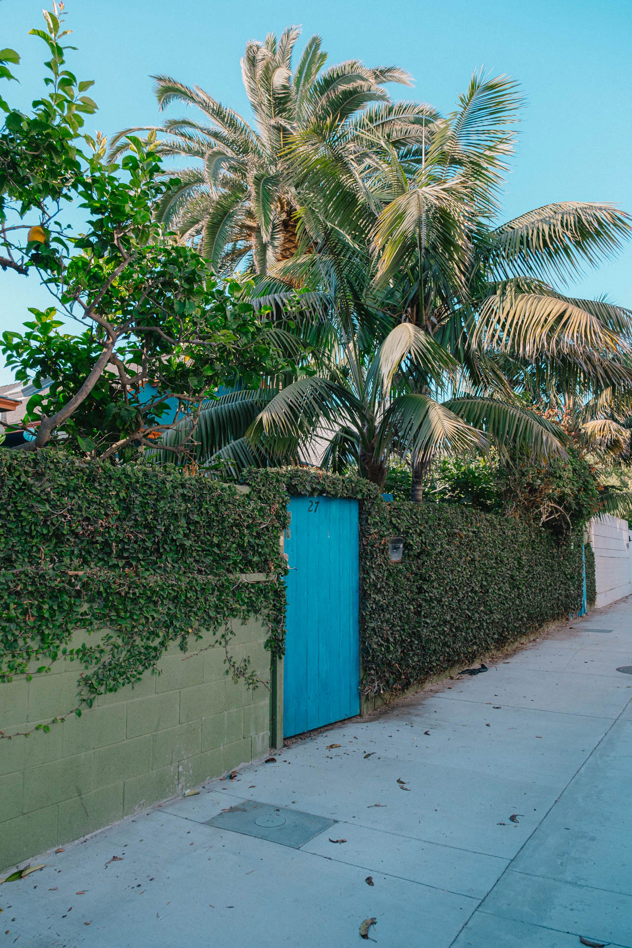 blue door in Venice Beach