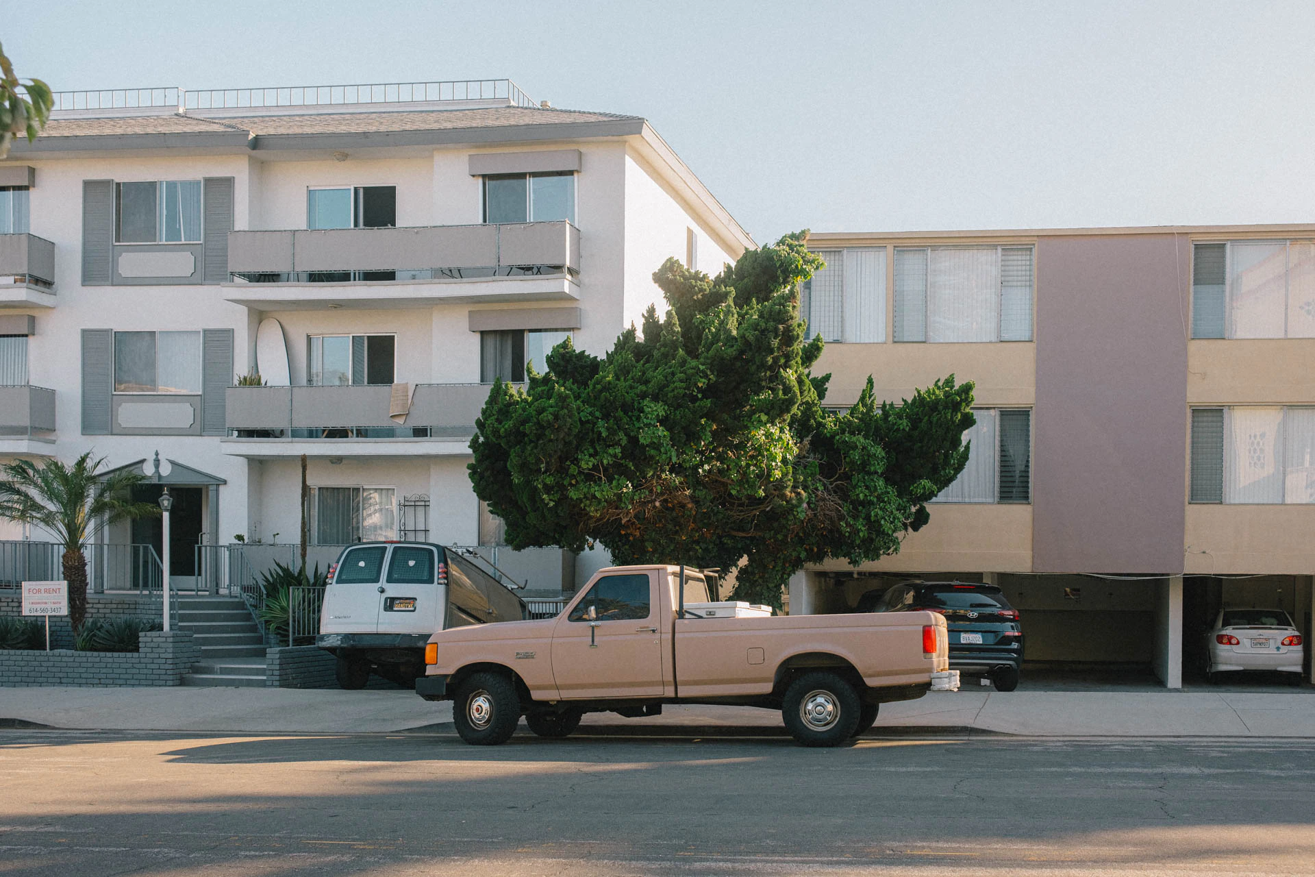 old pick up truck in front of a tree in Santa Monica