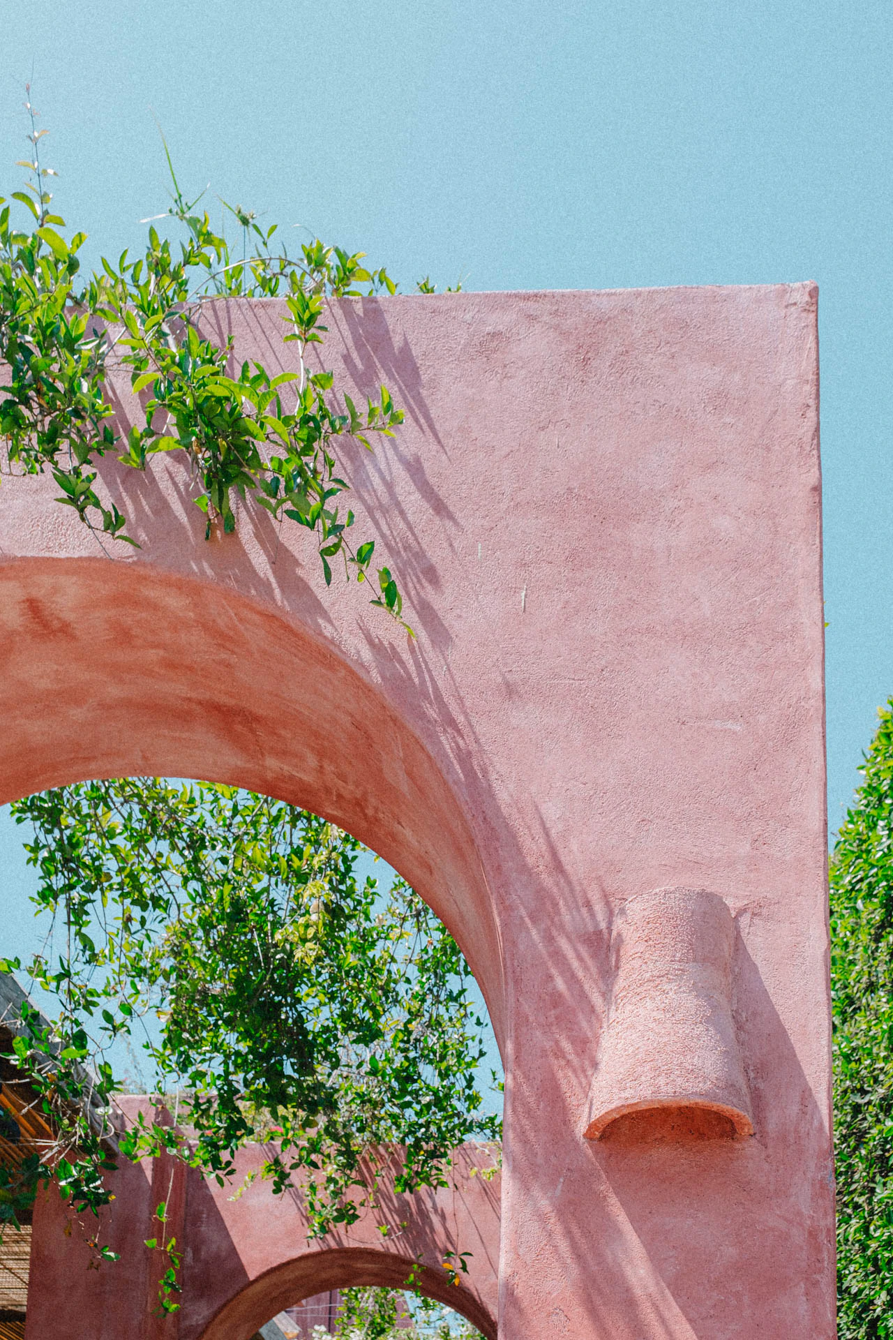 pink entrance of great white cafe in Beverly Hills
