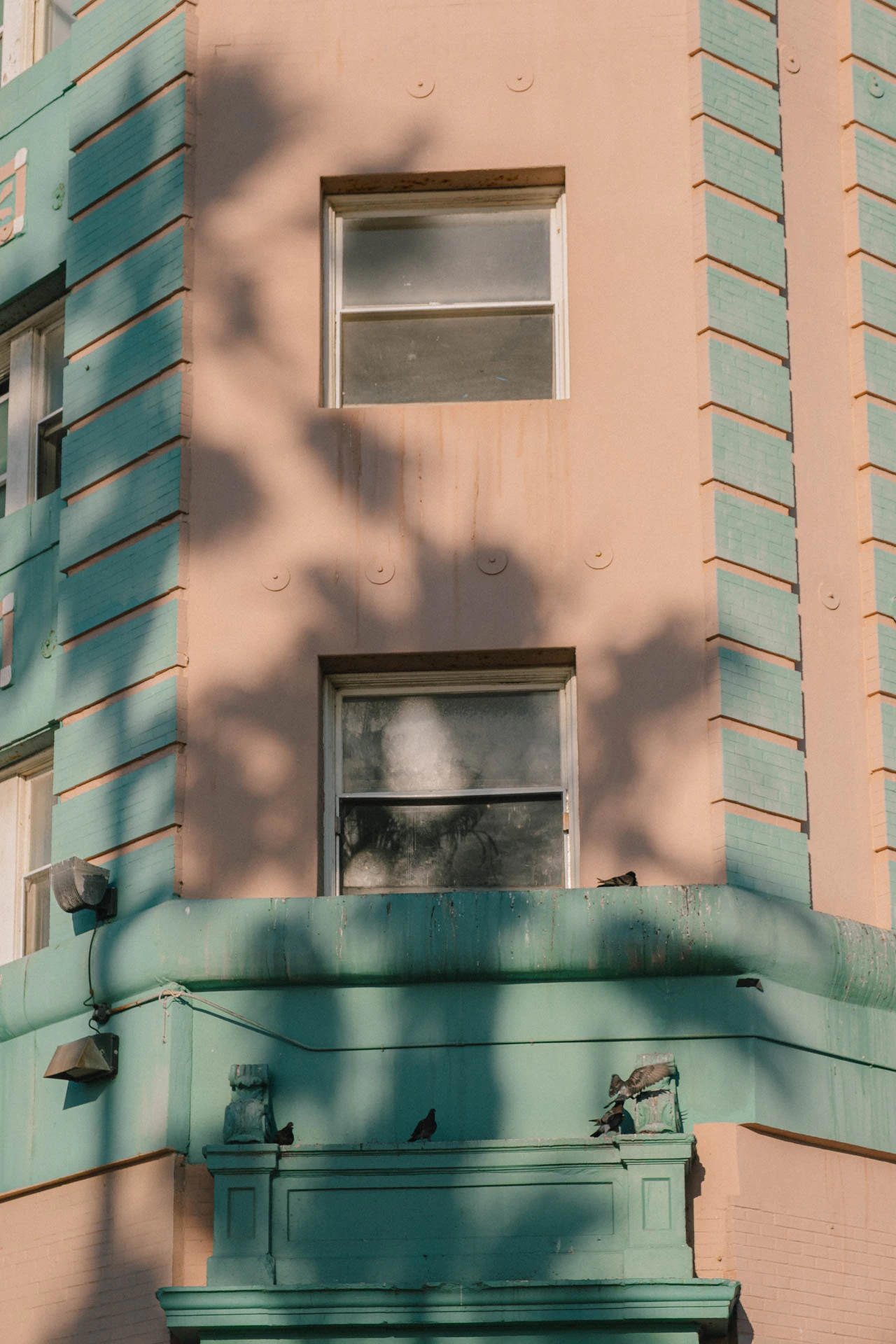 pastel green and pink building in Venice Beach