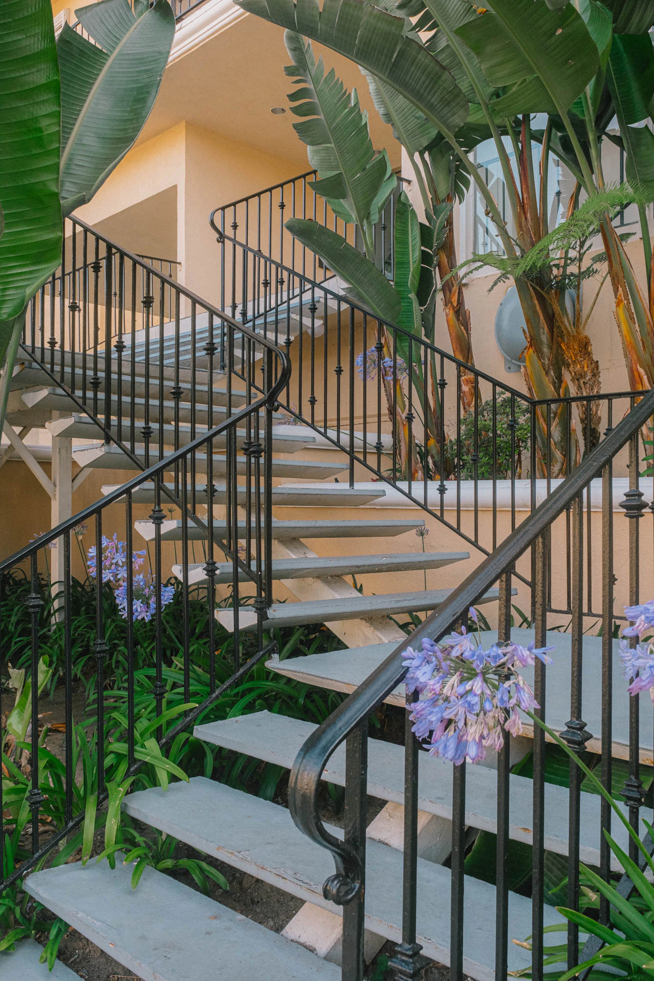 stairs and trees in Santa Monica