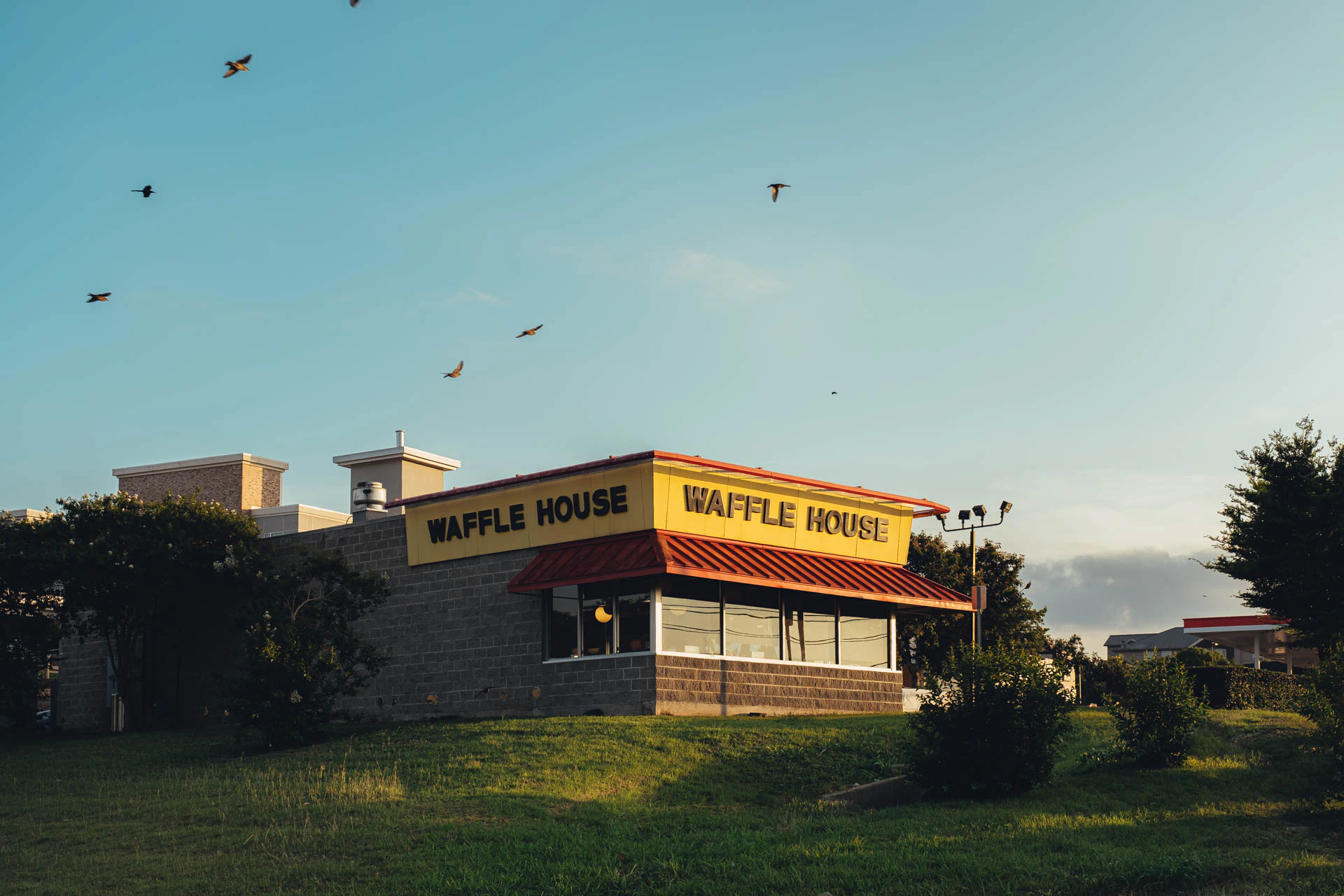 bird flying above Waffle House at Sunset on a grassy hill in Texas
