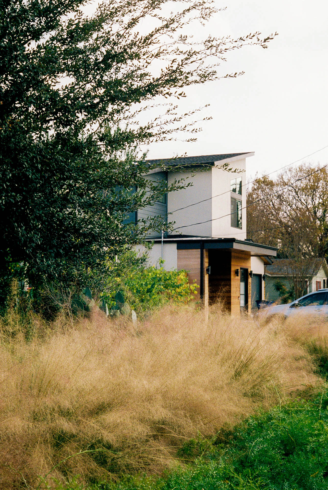 Austin house with greenery on film