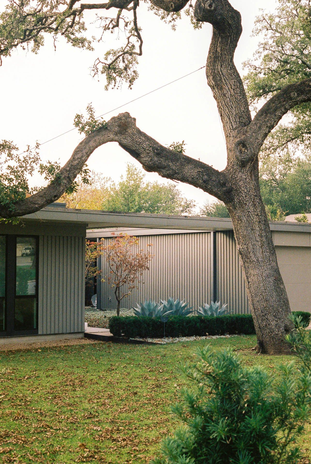 Austin house on film
