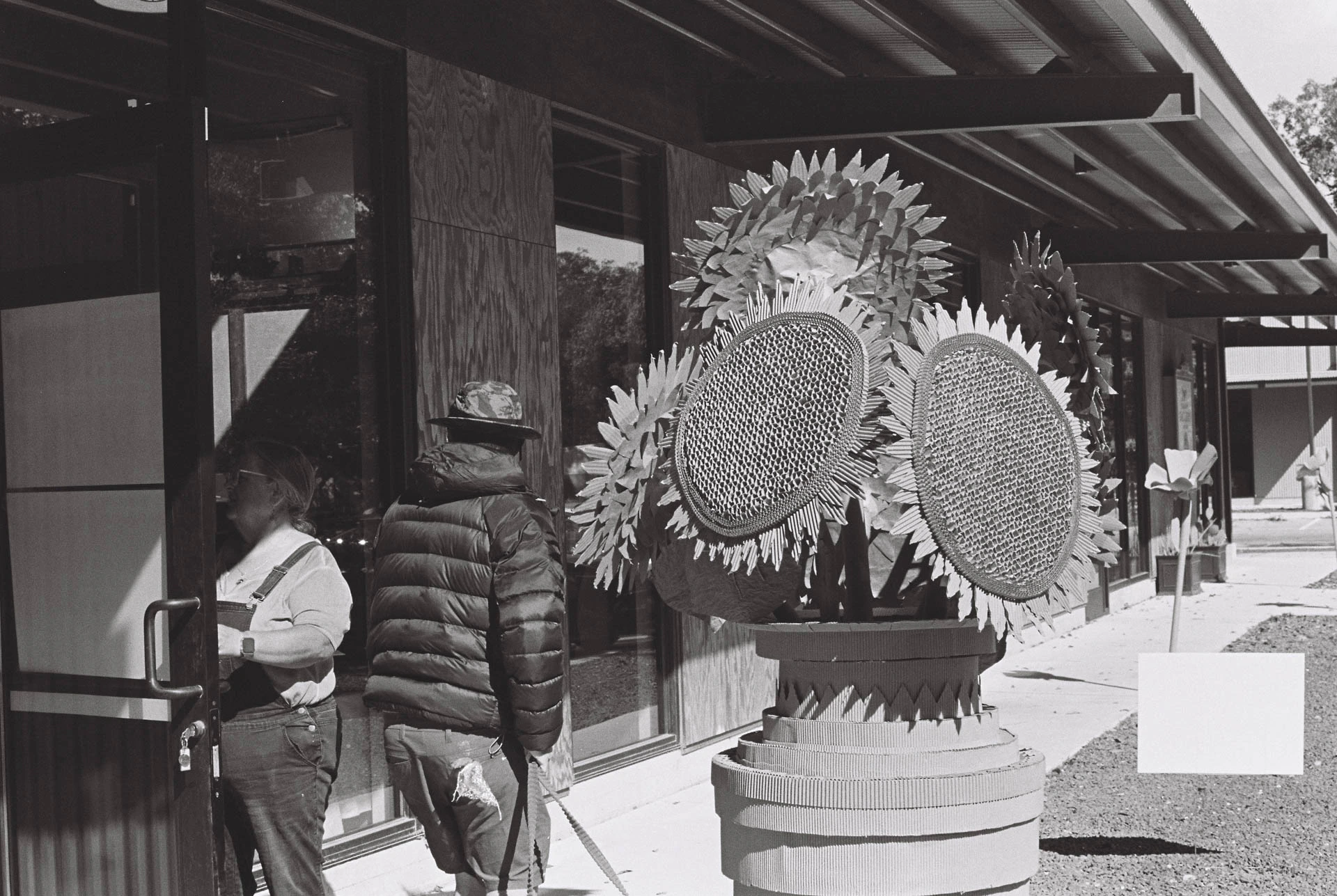paper sunflowers at art studio walk on film
