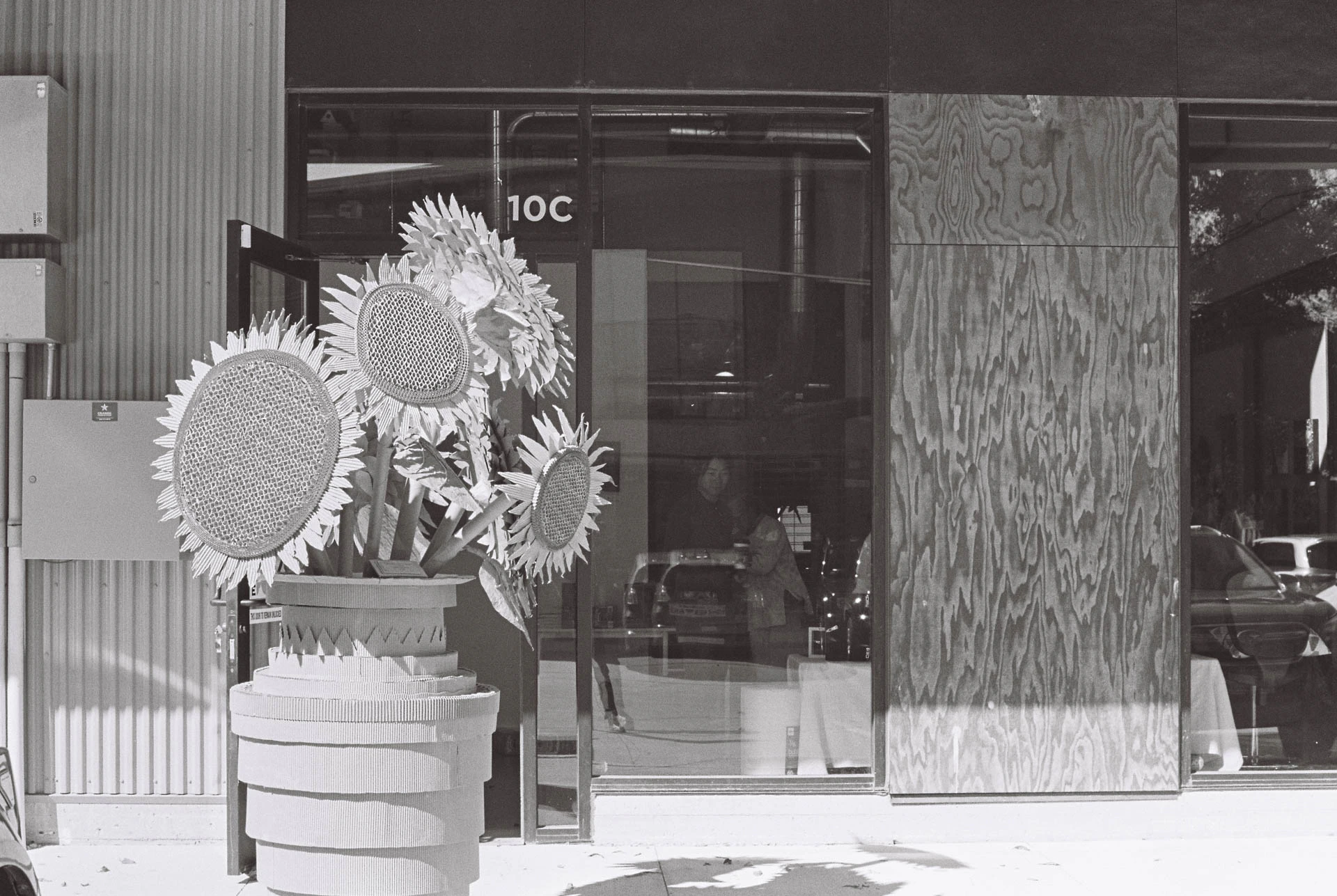 paper sunflowers at art studio walk on film