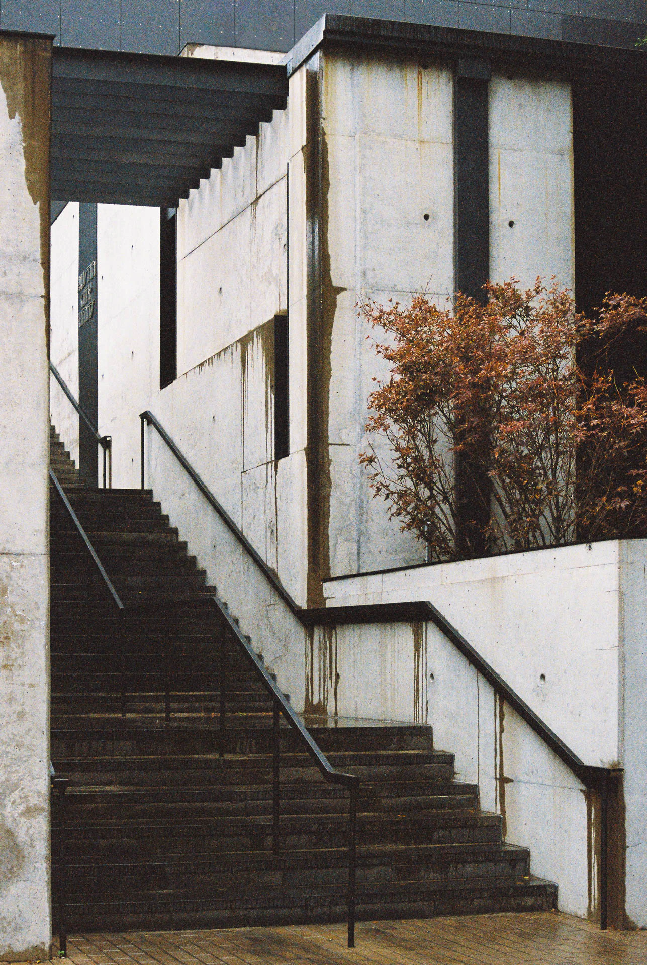 ACL Building in Downtown Austin on film