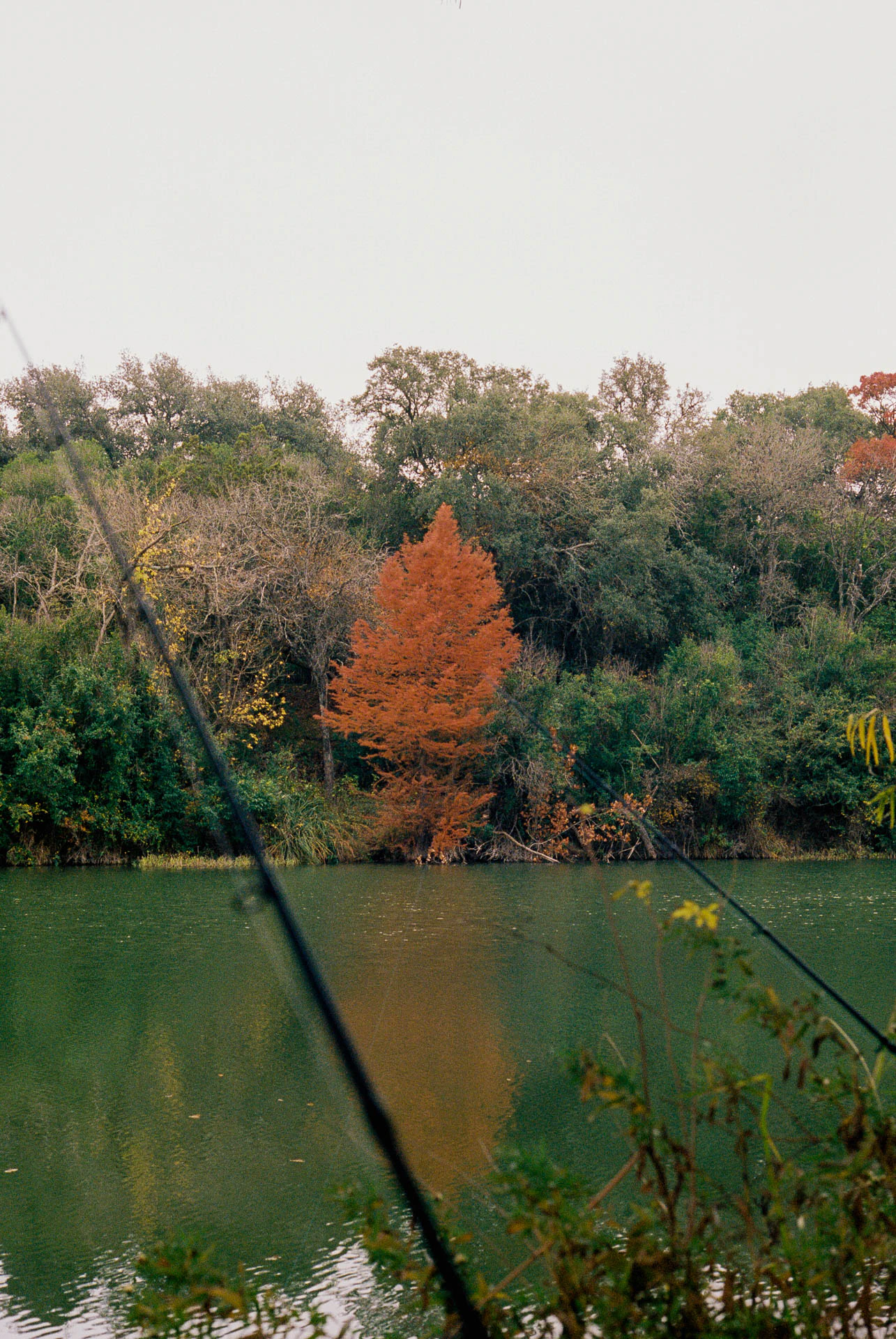 fishing rods on film in Texas