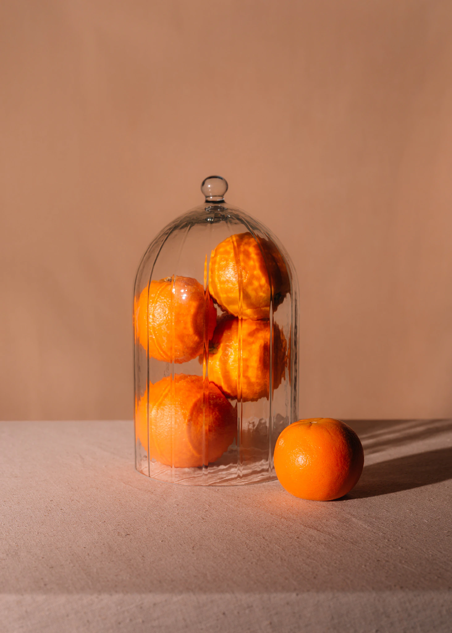 Oranges stuffed in a glass dome on velvet in front of beige velvet. Preservation from Jonathan Grado's Saint Citrus series.