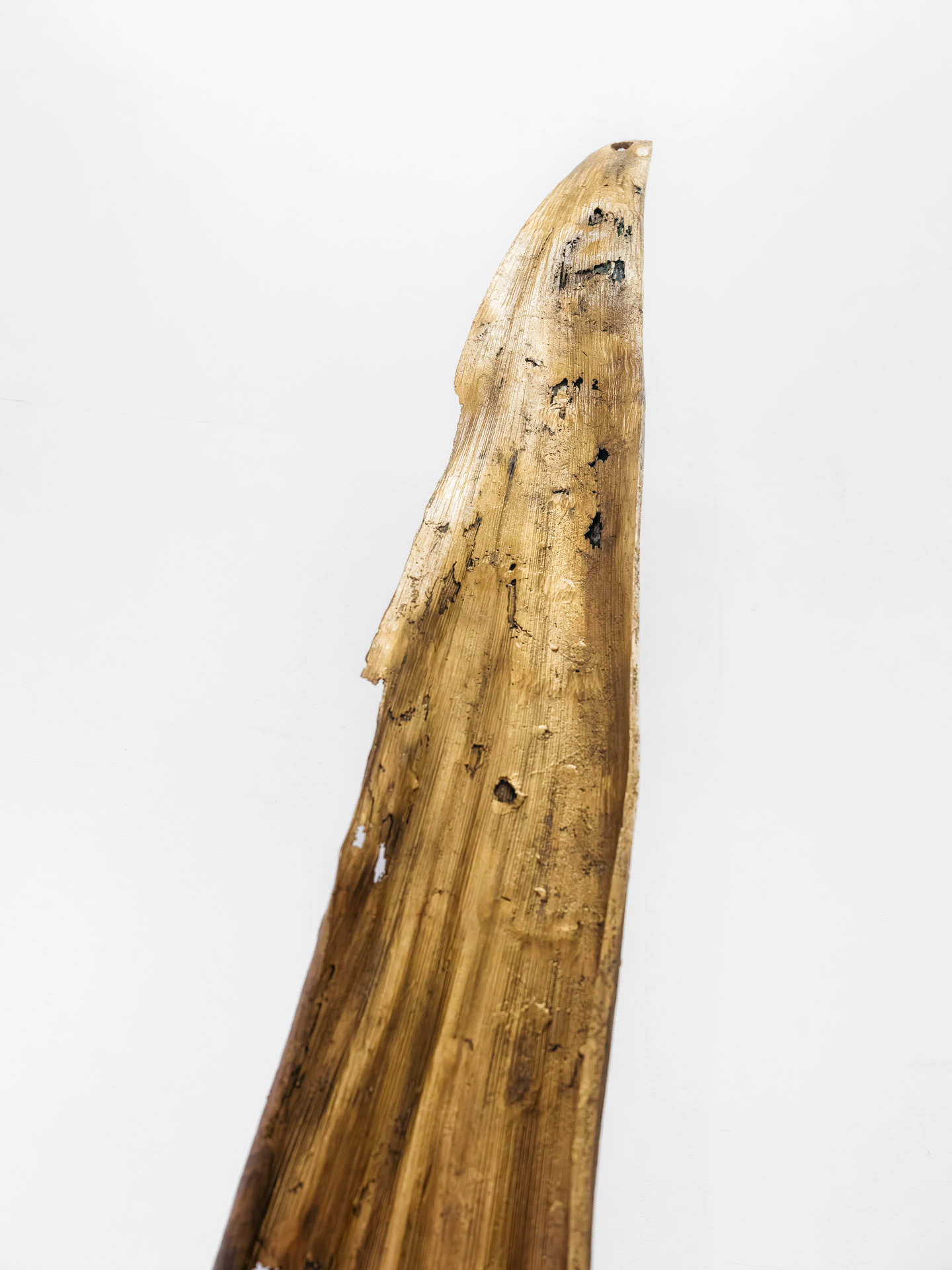 close up of Lara Saget's bronze palm leaf sculpture