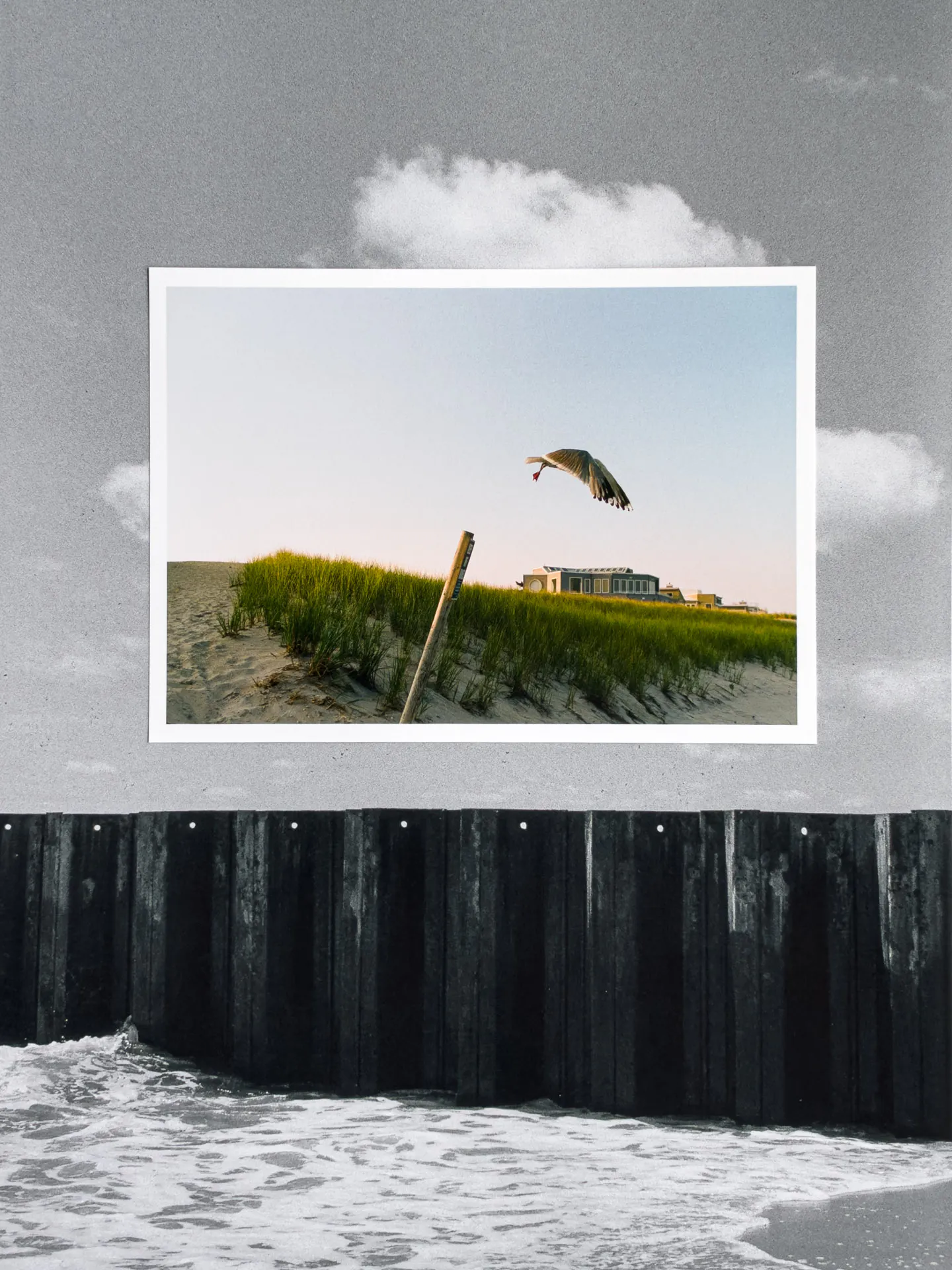 Print of a seagull taking off over a Long Beach Island dune, shot on Kodak Gold 200, laid on a larger black and white print of a seawall and clouds shot on HP5 400. Printed on Polar Matte paper