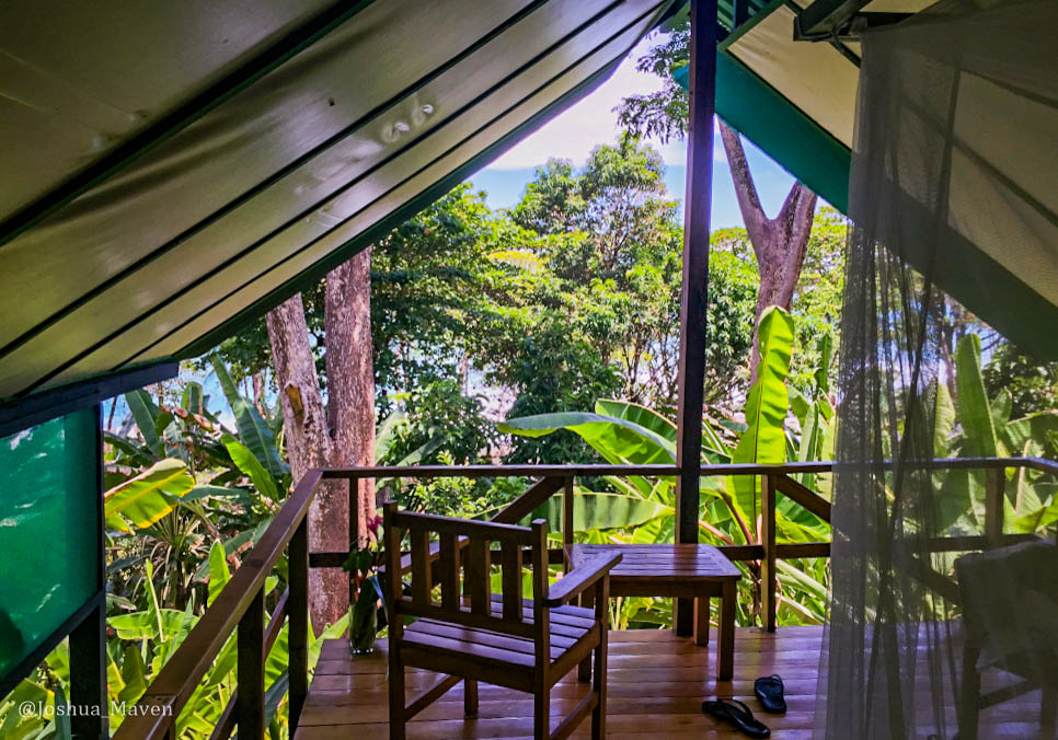 My room opened up the the secondary rainforest, where I was regularly woken up to the nightmarish screams of the howler monkeys.