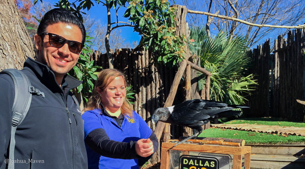 I don't know if this raven was happier to take my money, or if I was happier to give it. Well done.