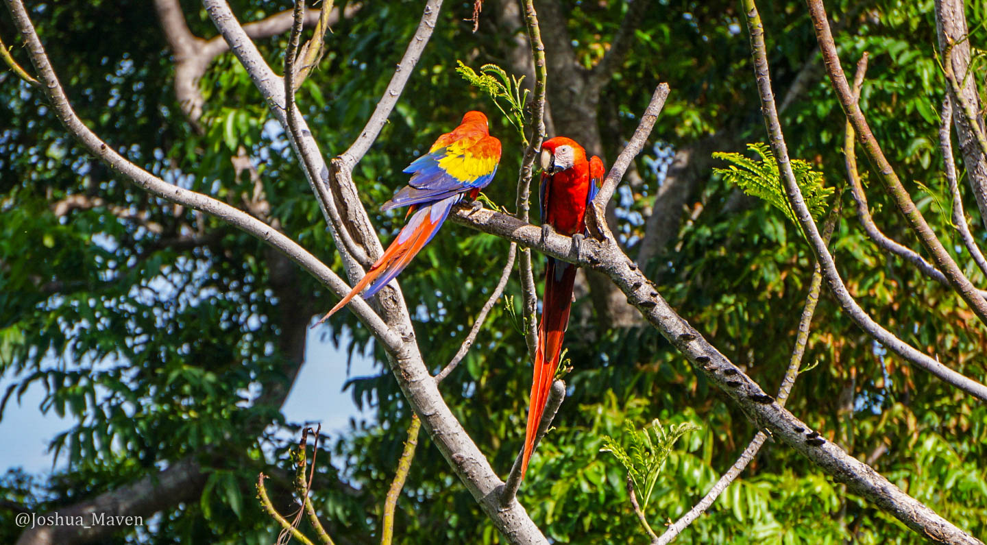 Shake, Rattle and Roll On