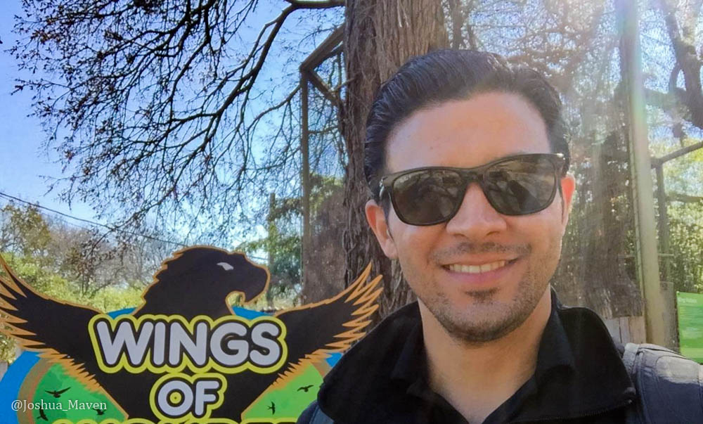 I realize why zoos exist, but seeing caged birds in small cages is always a little sad for me to see.