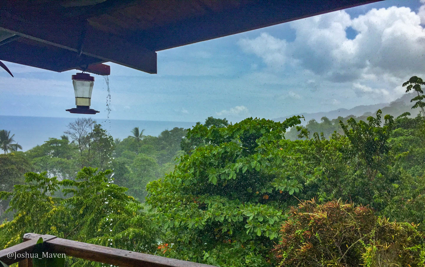 Coati Don't Give A...