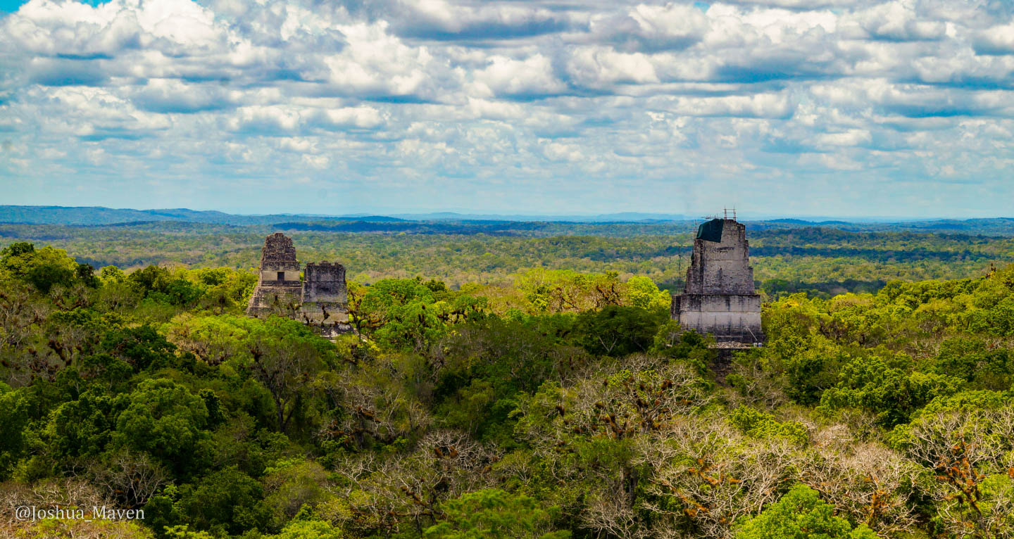 Resplendent Tikal