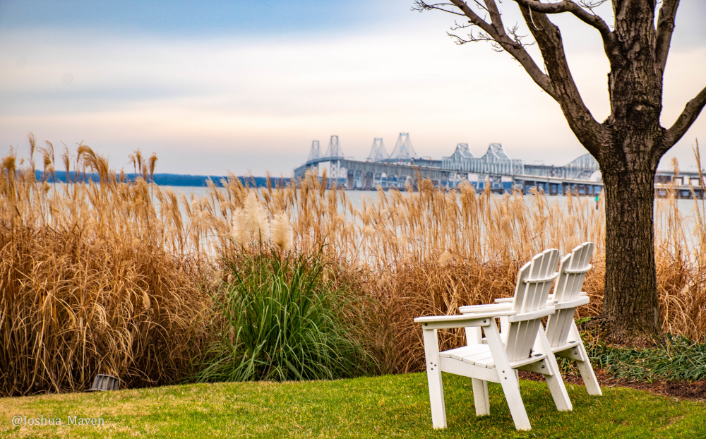 Sometimes, life tells you to slow down and enjoy the views like this one from the Bay Bridge in Maryland.