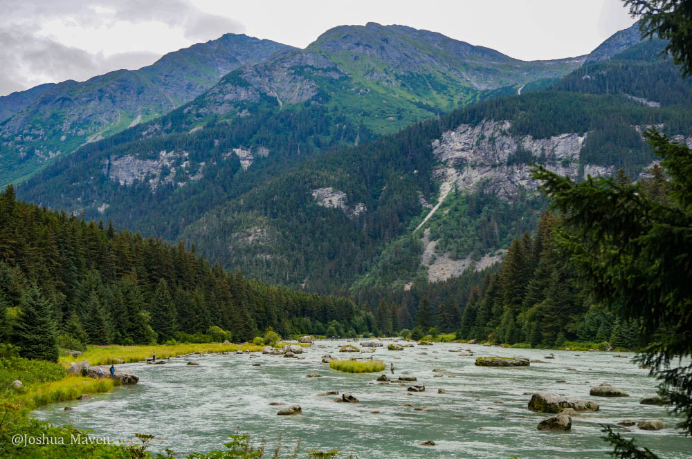 Fisherman casting for salmon along the Chilkoot River. Bears can often be seen wading through the waters in search for food.