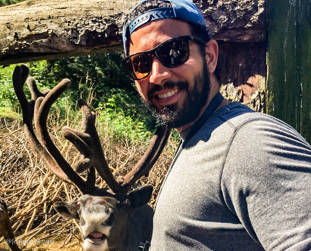 This guy was not about to let me saddle him for a ride, so we compromised on this photo instead.