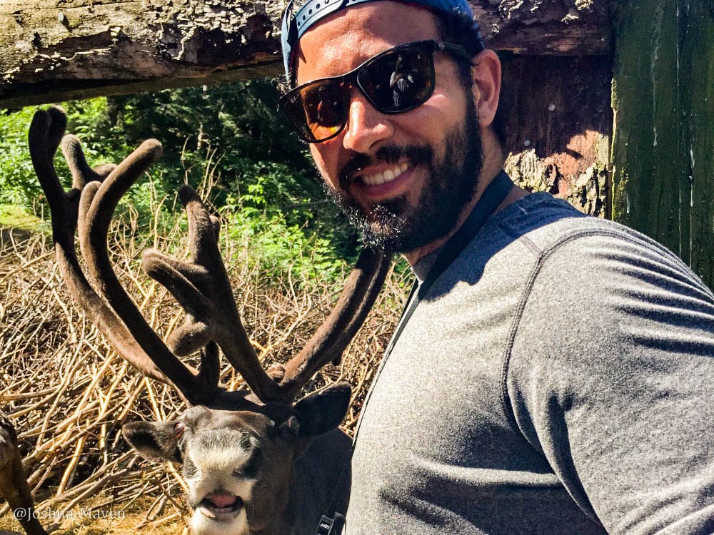 This guy was not about to let me saddle him for a ride, so we compromised on this photo instead.