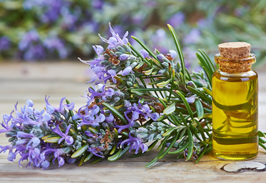 Rosemary Oil  Natural black Hair Growth