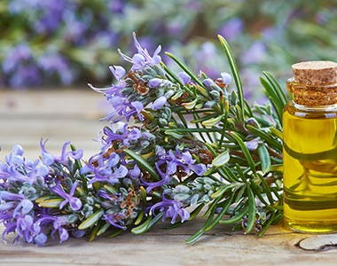 Rosemary Oil Natural black Hair Growth