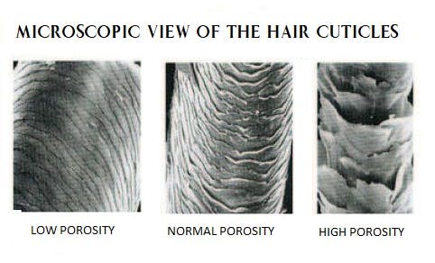 Natural Hair Porosity Test | 4B & 4C Black, African, Curly Hair Natural Hair Porosity Test | 4B & 4C Black, African, Curly Hair