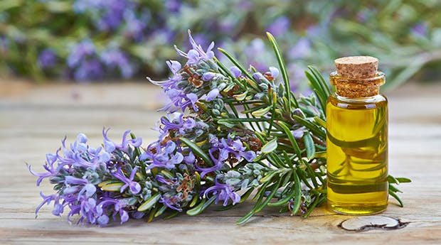 rosemary oil for afro hair