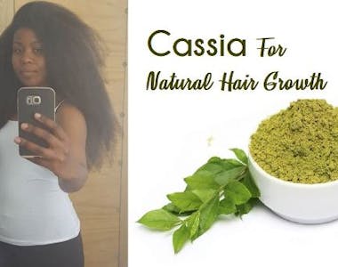 cassia obovata for natural hair growth