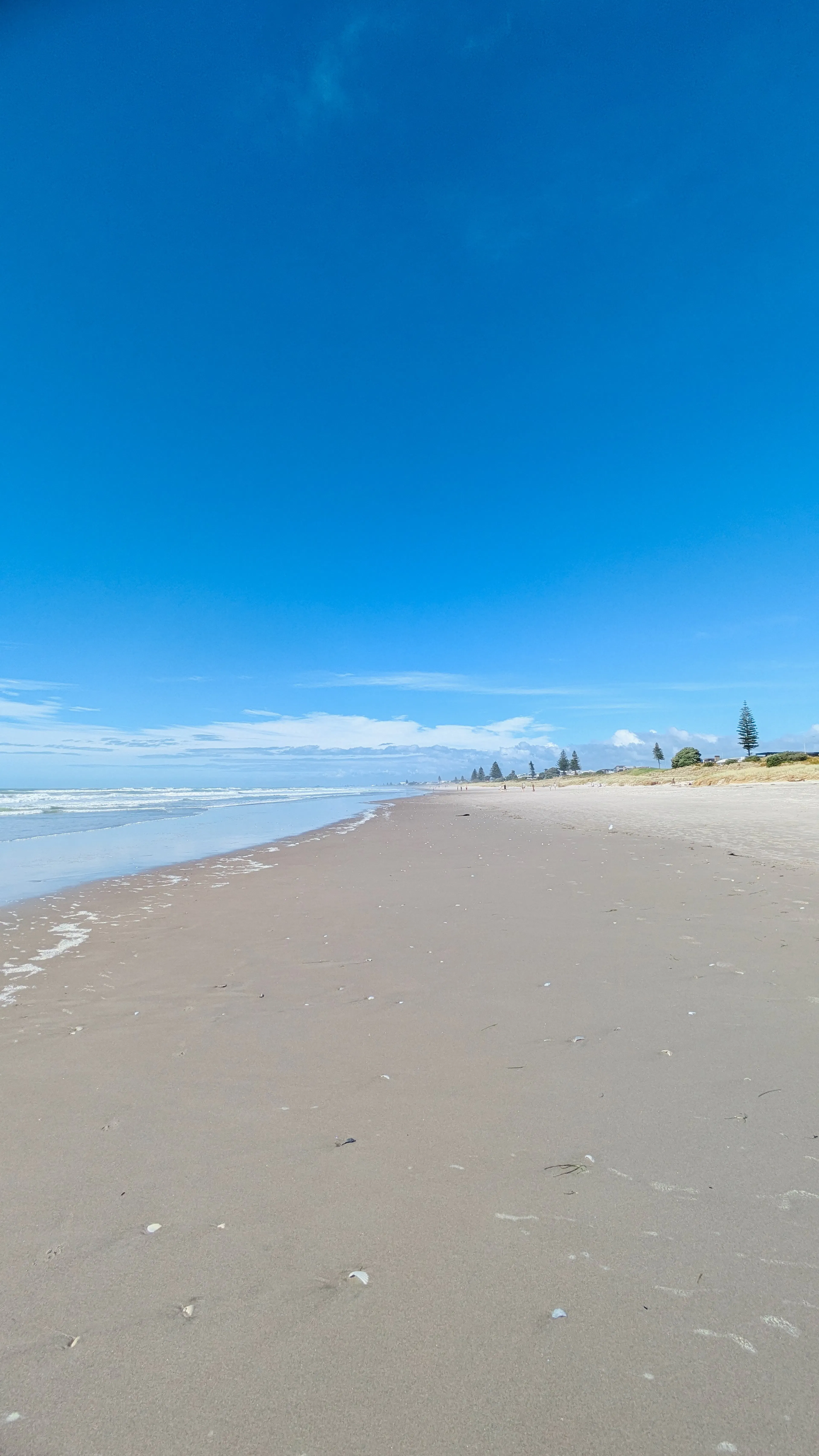 The expansive white sand beach of Mt Maunganui