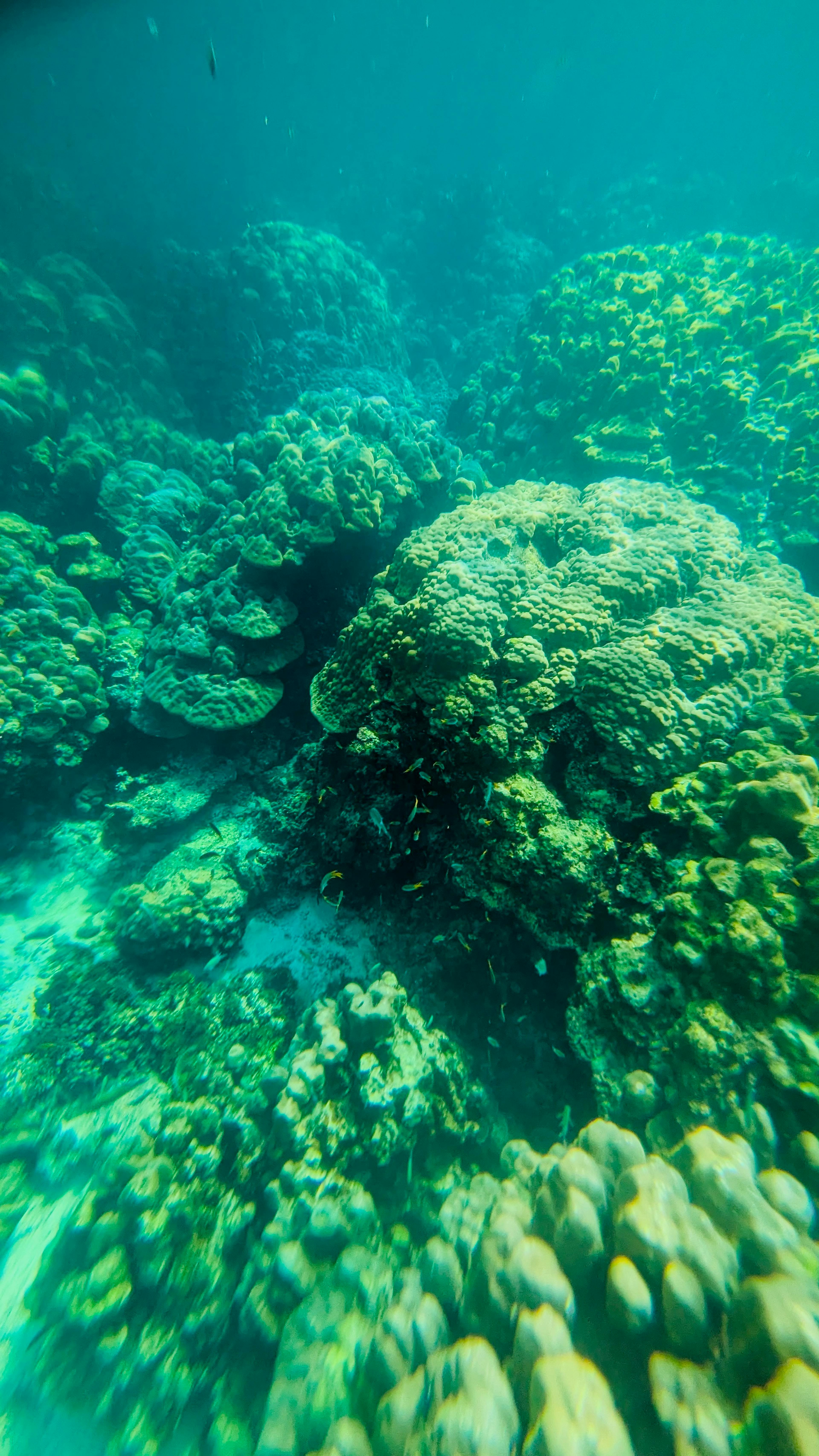 Snorkelling at Koh Rok